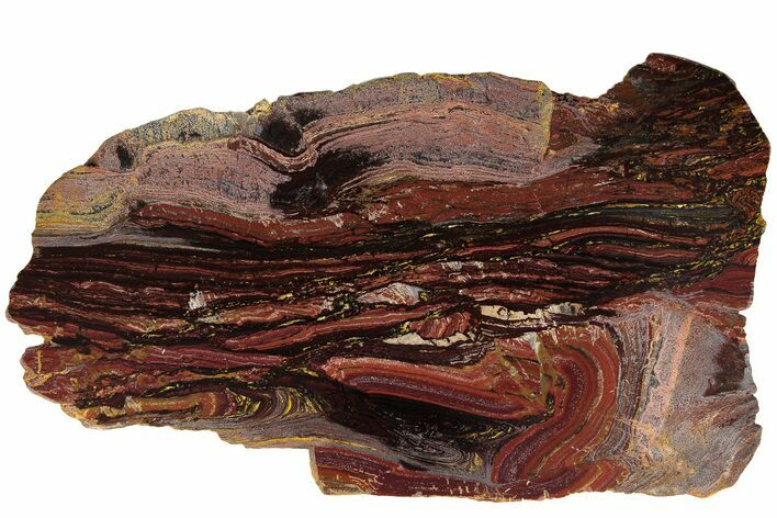 Polished Tiger Iron Stromatolite Slab - Billion Years #185959